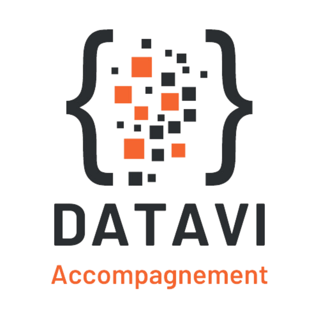 Logo DATAVI
